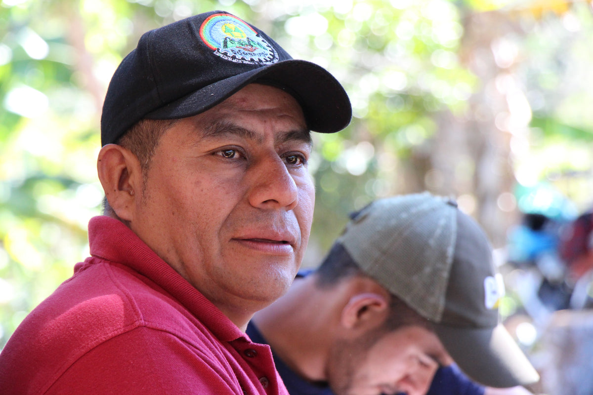 BIO HONDURAS COMBRIFOL Ernte 2026