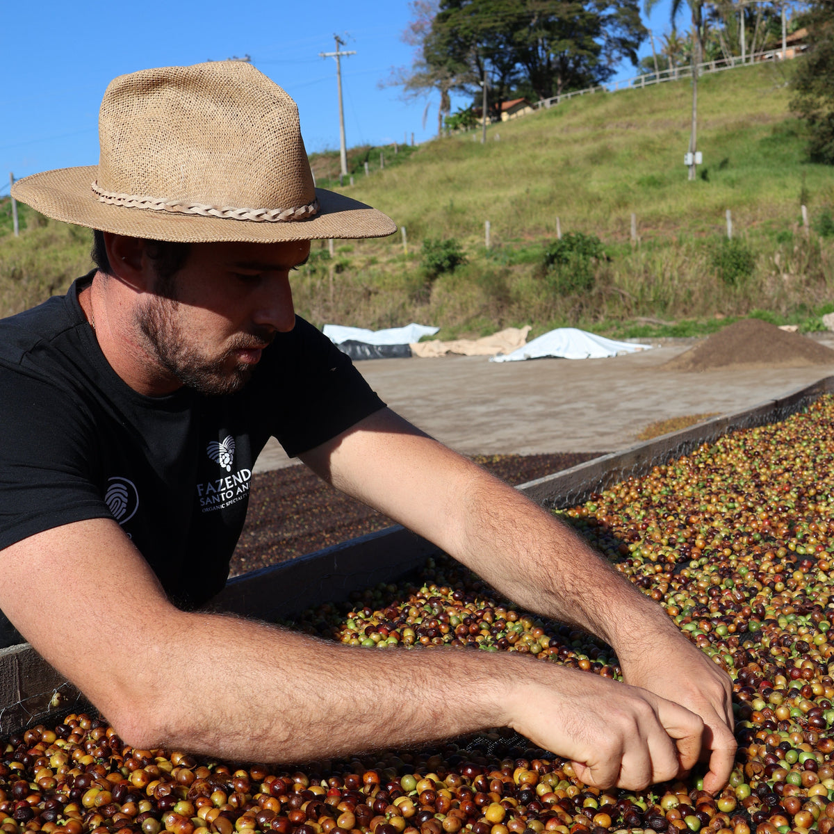 BIO BRASILIEN FAZENDA SANTO ANDRÉ natural Ernte 2025