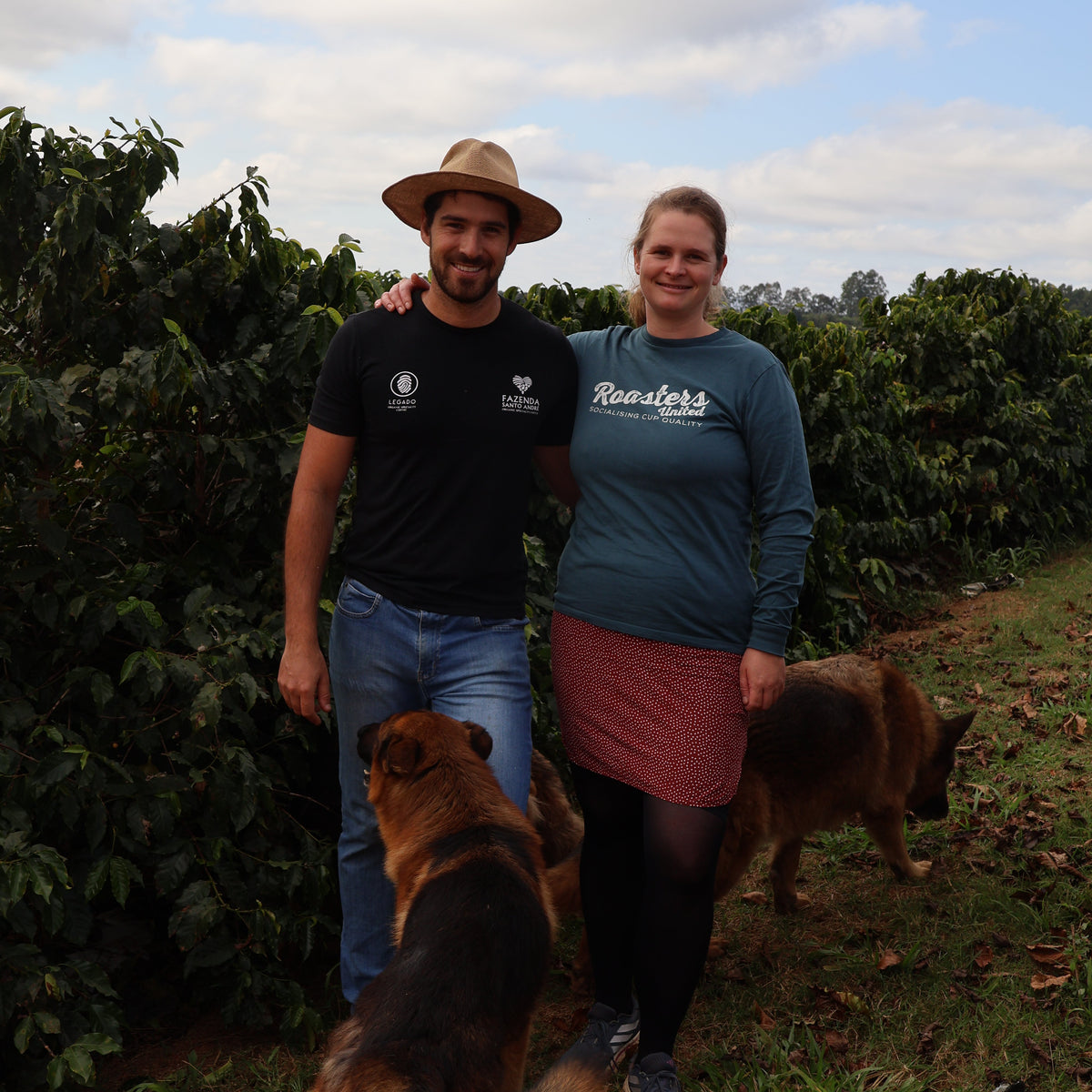 BIO BRASILIEN FAZENDA SANTO ANDRÉ natural Ernte 2025