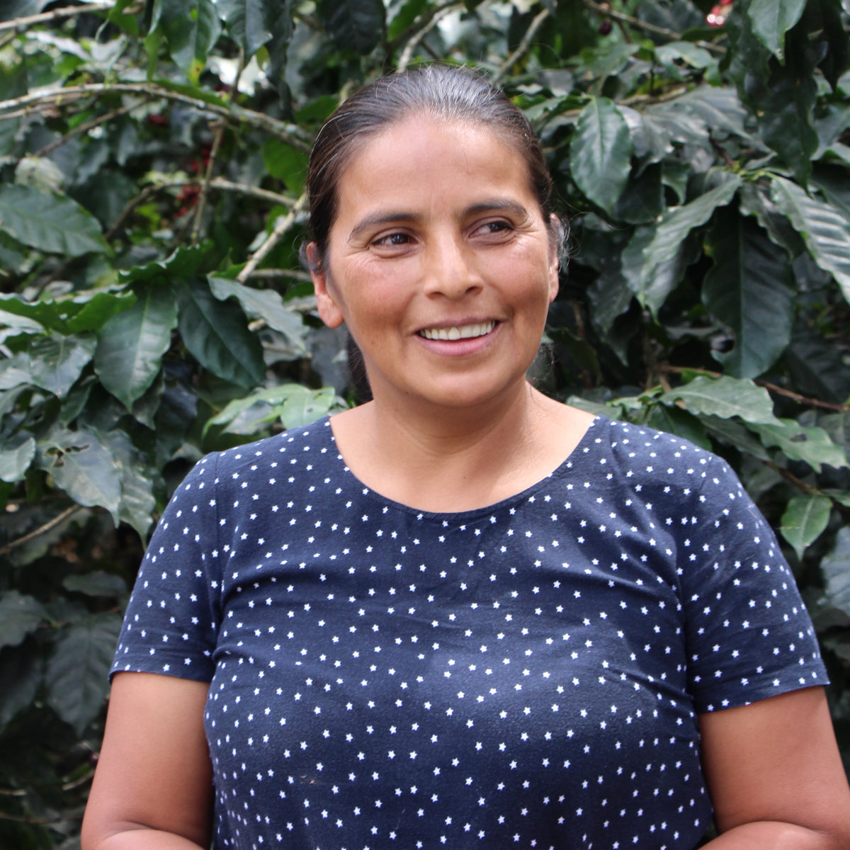 BIO LOLY ESPINOZA MICROLOT HONDURAS Ernte 2026