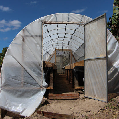 BIO LOLY ESPINOZA MICROLOT HONDURAS Ernte 2026