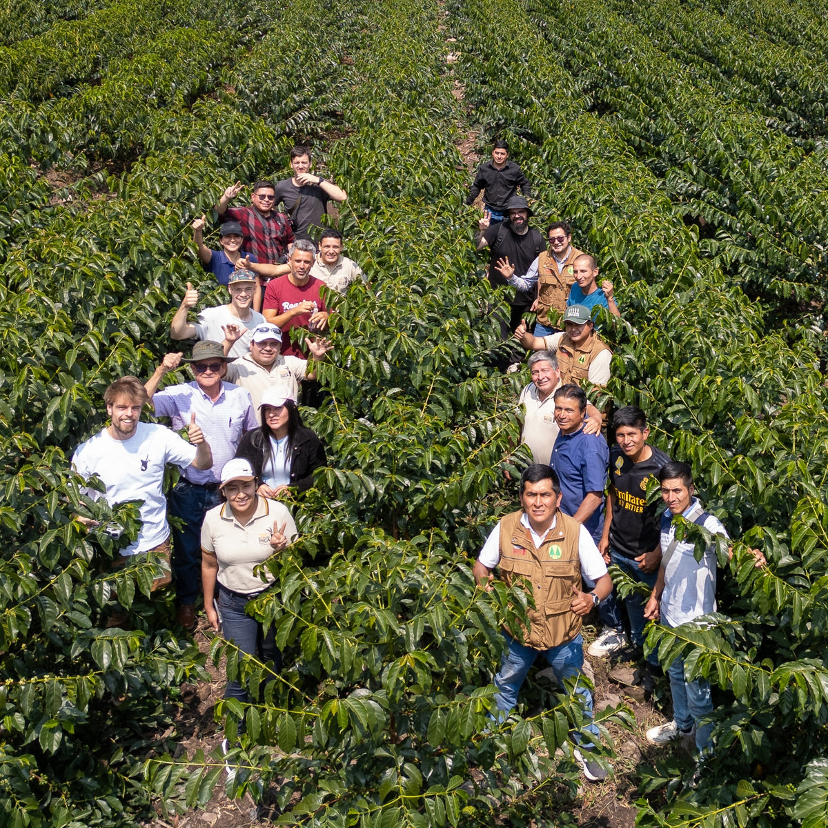 BIO PERU ANAEROBIC MICROLOT Ernte 2025