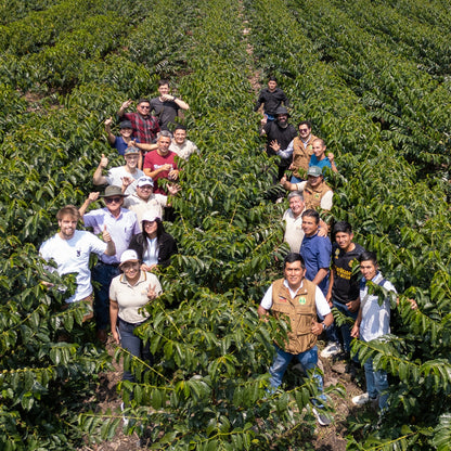 BIO PERU ANAEROBIC MICROLOT Ernte 2025